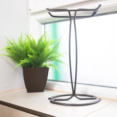 Wagner Apartment Brasov